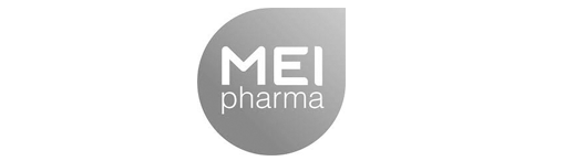 MEI Logo